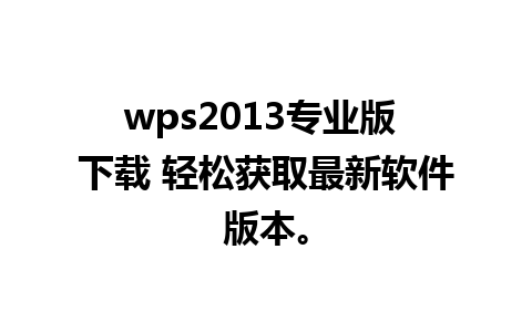 wps2013专业版 下载 轻松获取最新软件版本。