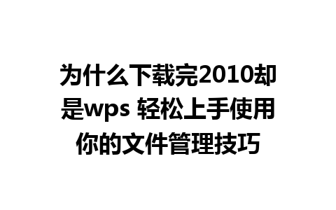 为什么下载完2010却是wps 轻松上手使用你的文件管理技巧