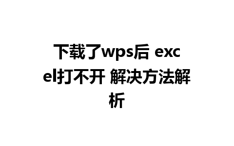 下载了wps后 excel打不开 解决方法解析