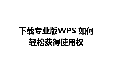 下载专业版WPS 如何轻松获得使用权