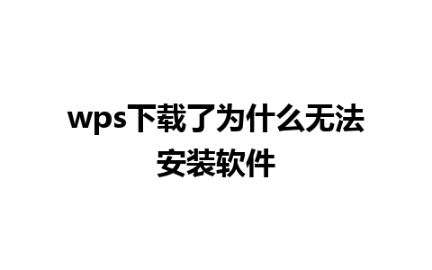 wps下载了为什么无法安装软件