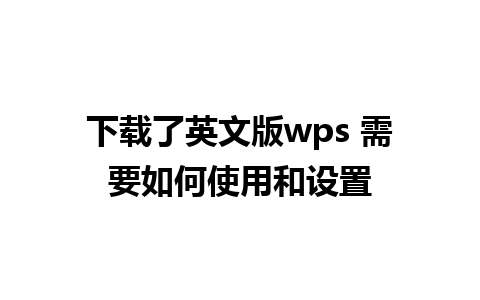 下载了英文版wps 需要如何使用和设置