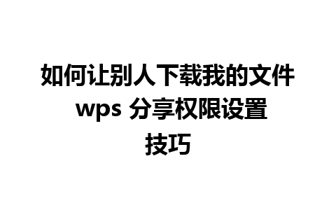 如何让别人下载我的文件 wps 分享权限设置技巧