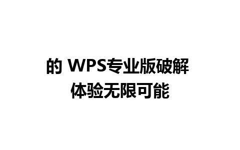 的 WPS专业版破解 体验无限可能 