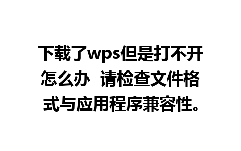 下载了wps但是打不开怎么办  请检查文件格式与应用程序兼容性。