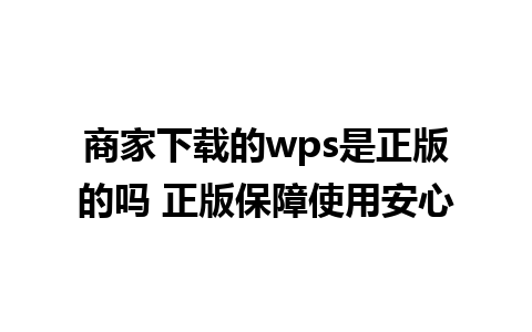 商家下载的wps是正版的吗 正版保障使用安心