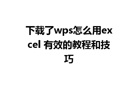 下载了wps怎么用excel 有效的教程和技巧