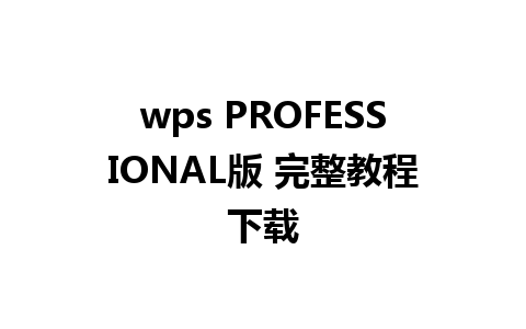 wps PROFESSIONAL版 完整教程下载