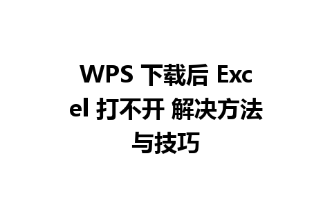 WPS 下载后 Excel 打不开 解决方法与技巧