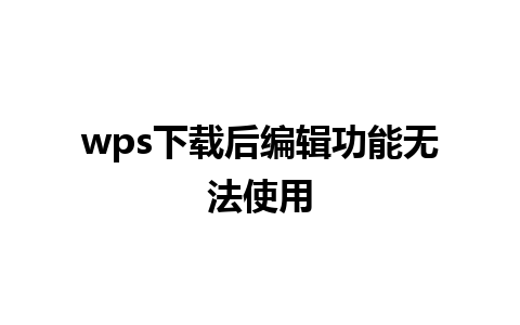 wps下载后编辑功能无法使用