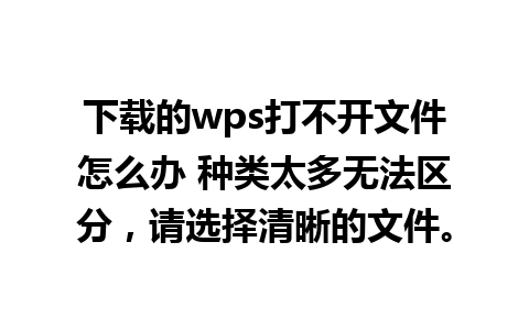 下载的wps打不开文件怎么办 种类太多无法区分，请选择清晰的文件。