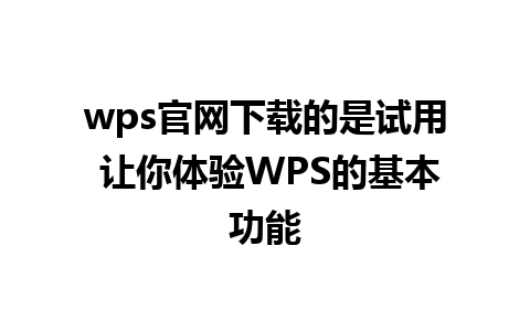 wps官网下载的是试用 让你体验WPS的基本功能