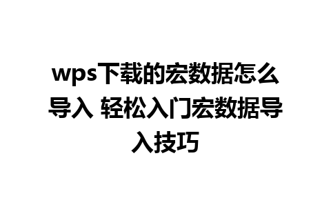 wps下载的宏数据怎么导入 轻松入门宏数据导入技巧