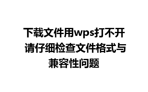 下载文件用wps打不开 请仔细检查文件格式与兼容性问题