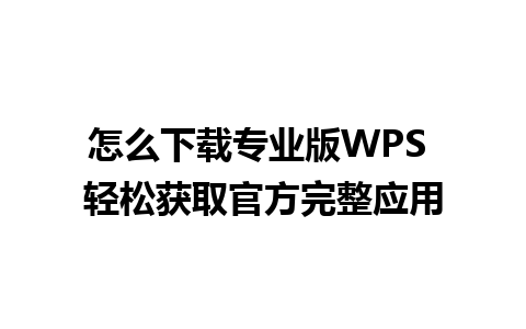 怎么下载专业版WPS 轻松获取官方完整应用