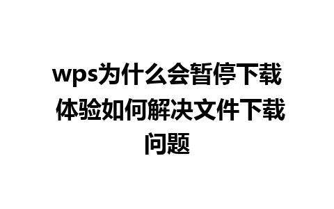 wps为什么会暂停下载 体验如何解决文件下载问题