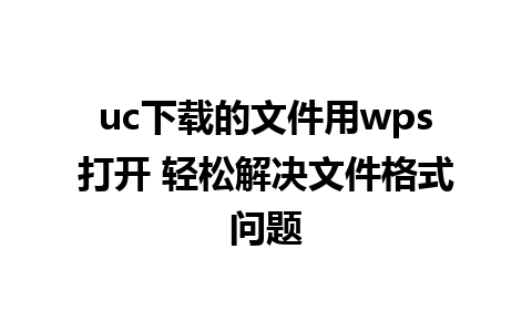 uc下载的文件用wps打开 轻松解决文件格式问题