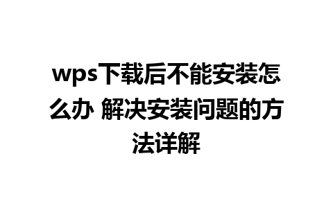 wps下载后不能安装怎么办 解决安装问题的方法详解