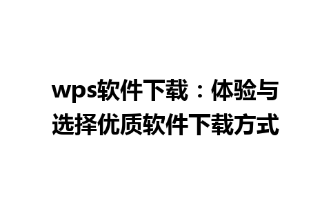 wps软件下载：体验与选择优质软件下载方式