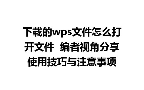 下载的wps文件怎么打开文件  编者视角分享使用技巧与注意事项