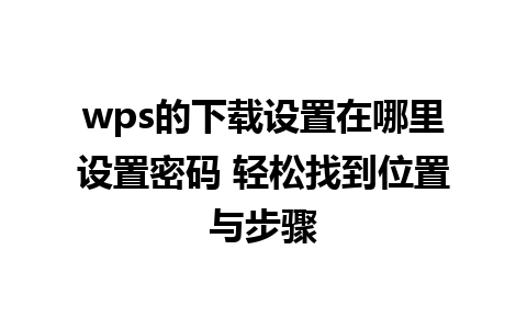 wps的下载设置在哪里设置密码 轻松找到位置与步骤