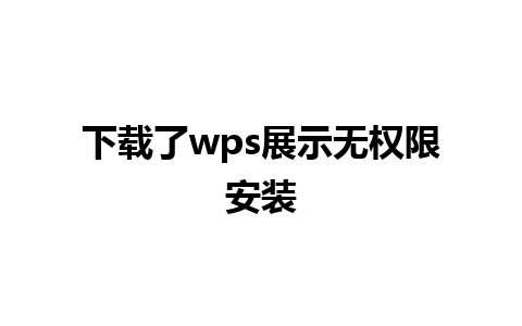 下载了wps展示无权限安装