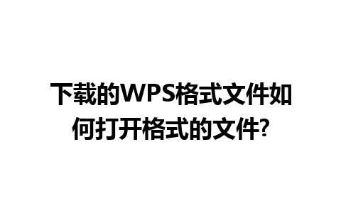 下载的WPS格式文件如何打开格式的文件?