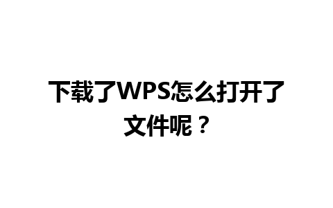 下载了WPS怎么打开了文件呢？