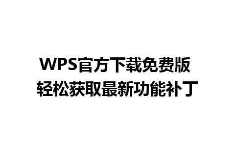 WPS官方下载免费版 轻松获取最新功能补丁