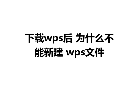 下载wps后 为什么不能新建 wps文件