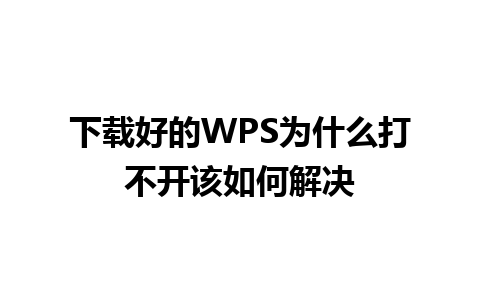 下载好的WPS为什么打不开该如何解决