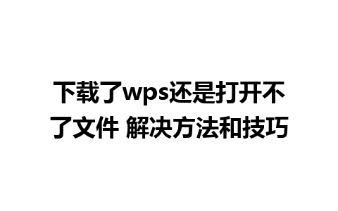 下载了wps还是打开不了文件 解决方法和技巧