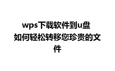 wps下载软件到u盘 如何轻松转移您珍贵的文件