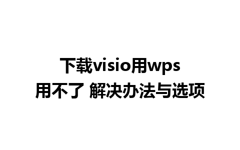 下载visio用wps用不了 解决办法与选项