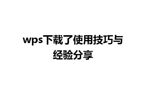 wps下载了使用技巧与经验分享