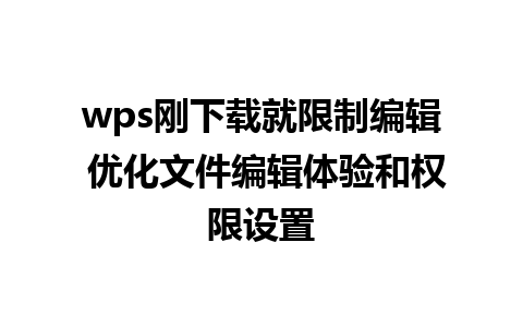 wps刚下载就限制编辑 优化文件编辑体验和权限设置