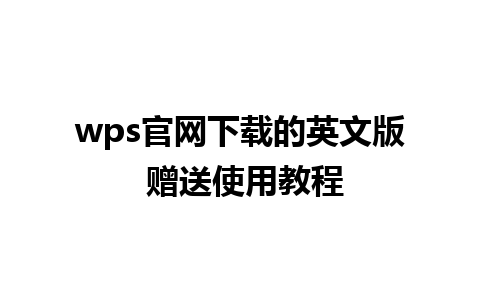 wps官网下载的英文版 赠送使用教程