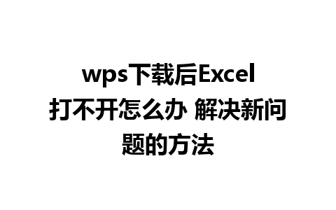 wps下载后Excel打不开怎么办 解决新问题的方法