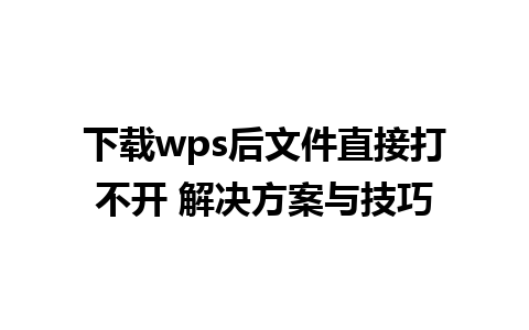 下载wps后文件直接打不开 解决方案与技巧