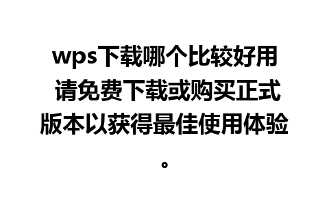 wps下载哪个比较好用 请免费下载或购买正式版本以获得最佳使用体验。