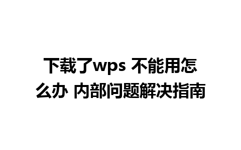 下载了wps 不能用怎么办 内部问题解决指南