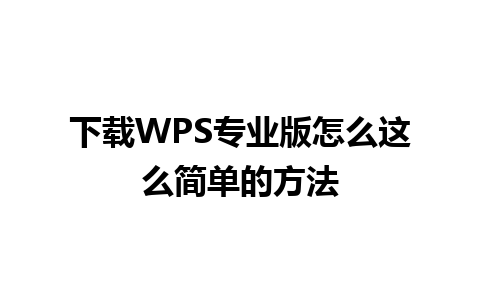 下载WPS专业版怎么这么简单的方法