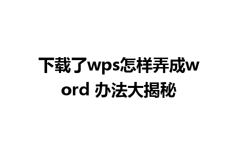 下载了wps怎样弄成word 办法大揭秘