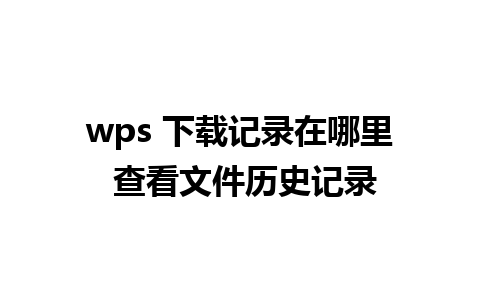 wps 下载记录在哪里 查看文件历史记录