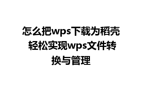 怎么把wps下载为稻壳 轻松实现wps文件转换与管理