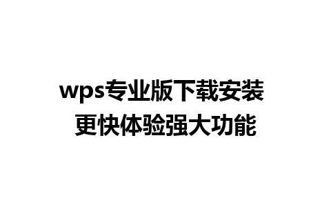 wps专业版下载安装 更快体验强大功能