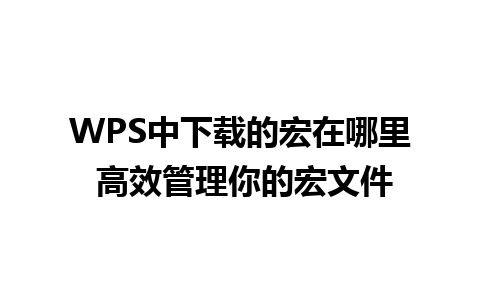 WPS中下载的宏在哪里 高效管理你的宏文件