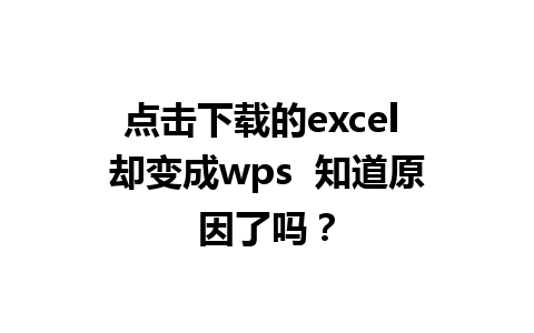 点击下载的excel 却变成wps  知道原因了吗？