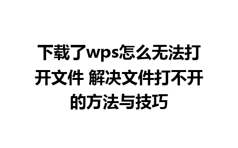 下载了wps怎么无法打开文件 解决文件打不开的方法与技巧