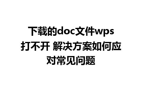 下载的doc文件wps打不开 解决方案如何应对常见问题